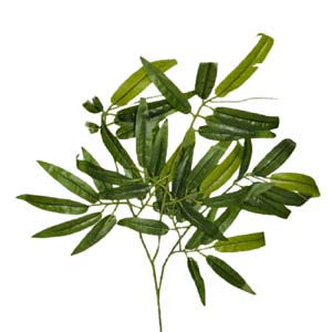 plante art serie A 2
