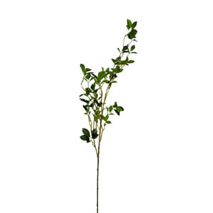 plante art serie A 3