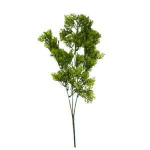 plante art serie A 4