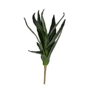 plante art serie A 5