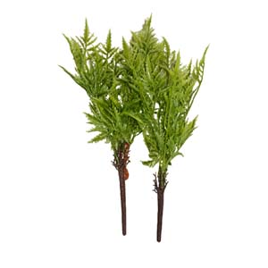 plante art serie A 6