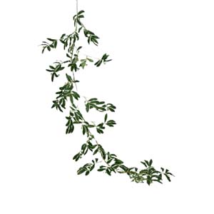 plante art serie A 7